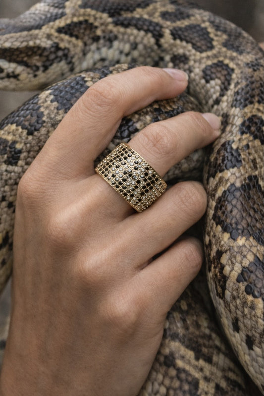 BILLIONAIRE RING- PYTHON